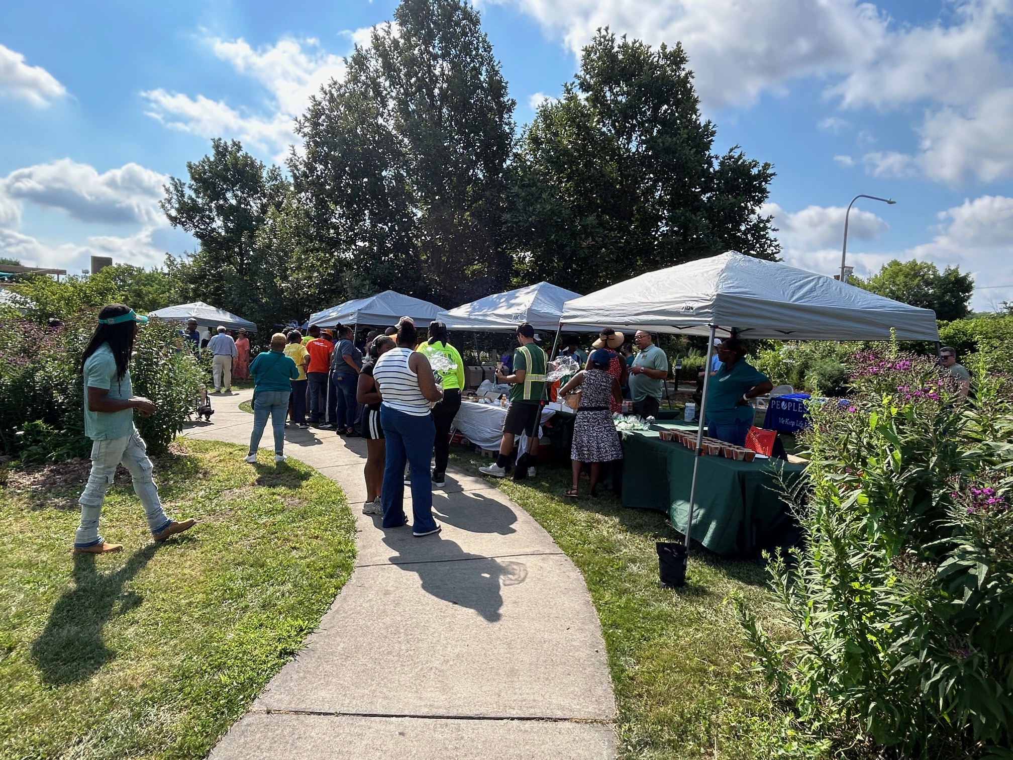People gathered in Edna White Community Garden